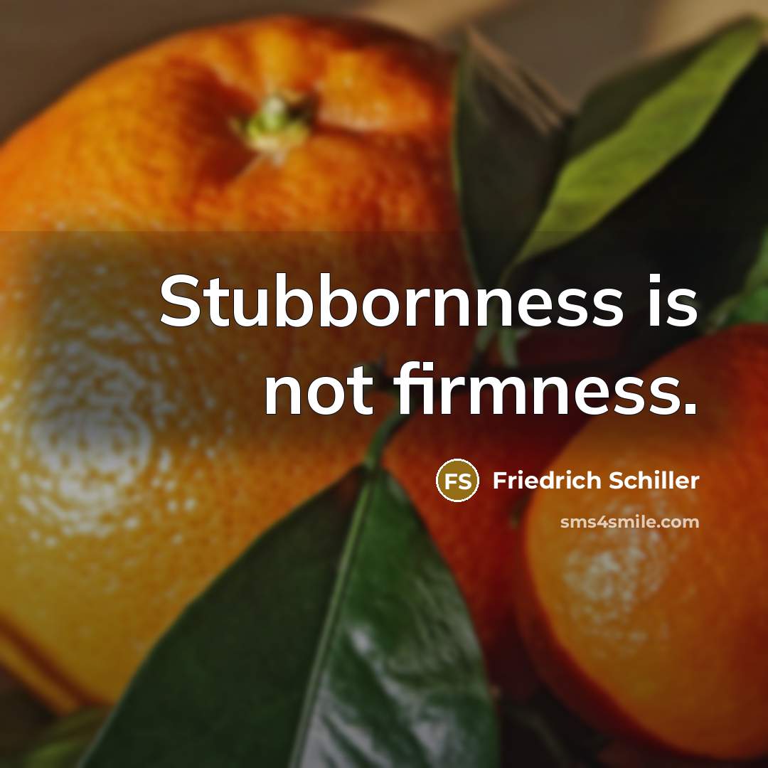 “Stubbornness is not firmness.…” quote by Friedrich Schiller