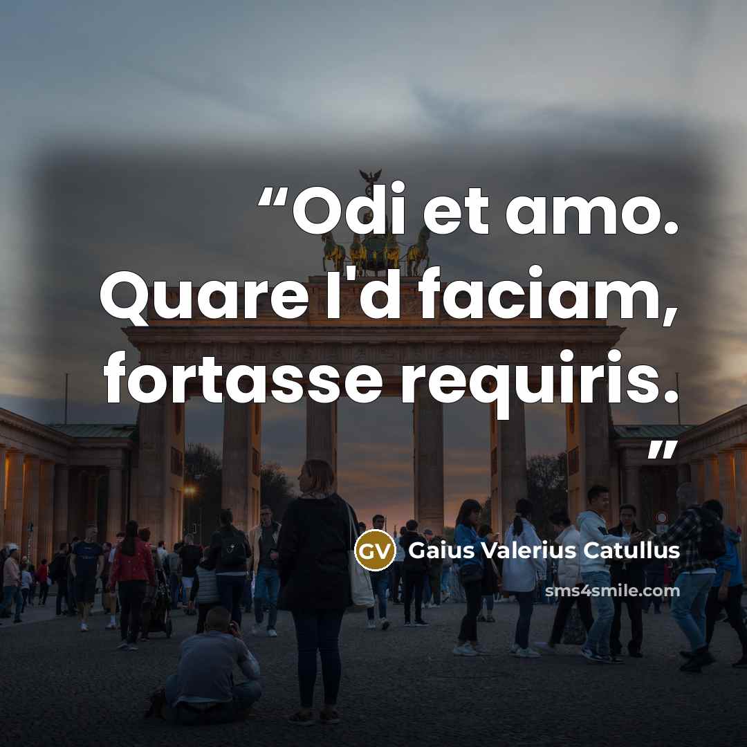“Odi et amo. Quare I'd faciam, fortasse requiris.” quote by Gaius Valerius Catullus