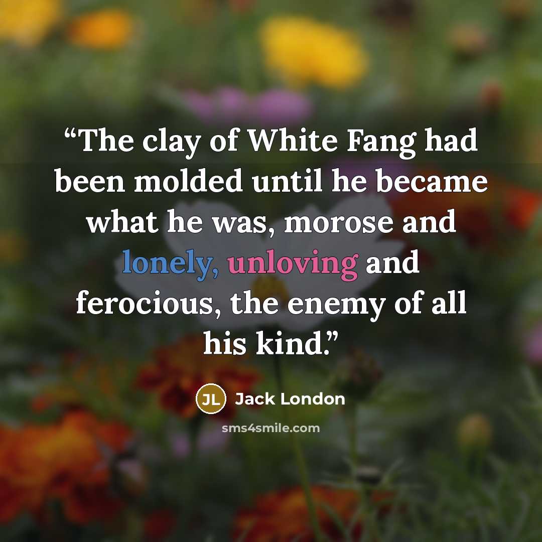 “The clay of White Fang had been molded until he became what he was, morose and lonely, unloving and ferocious, the enemy of all his kind.” quote by Jack London