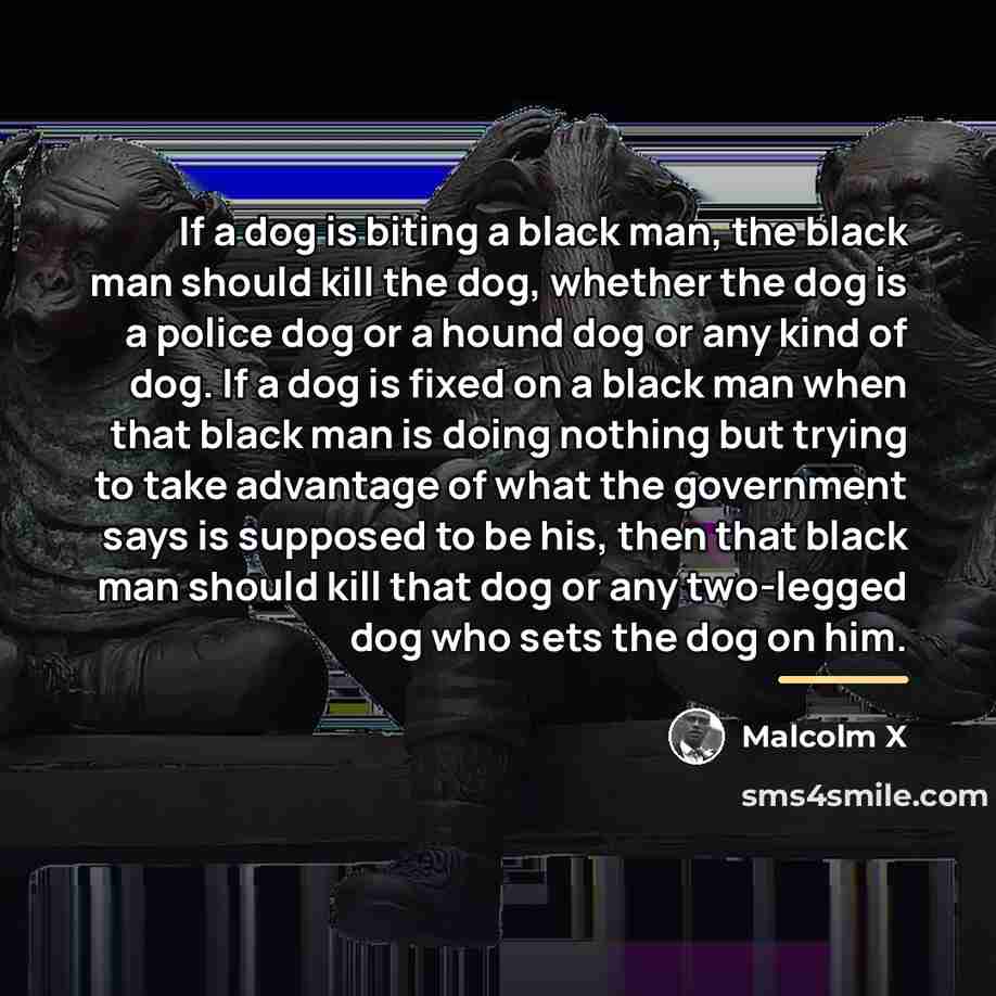 “If a dog is biting a black man, the black…” quote by Malcolm X
