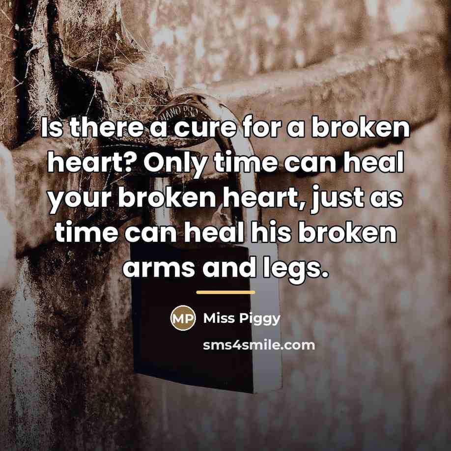 “Is there a cure for a broken heart? Only time…” quote by Miss Piggy