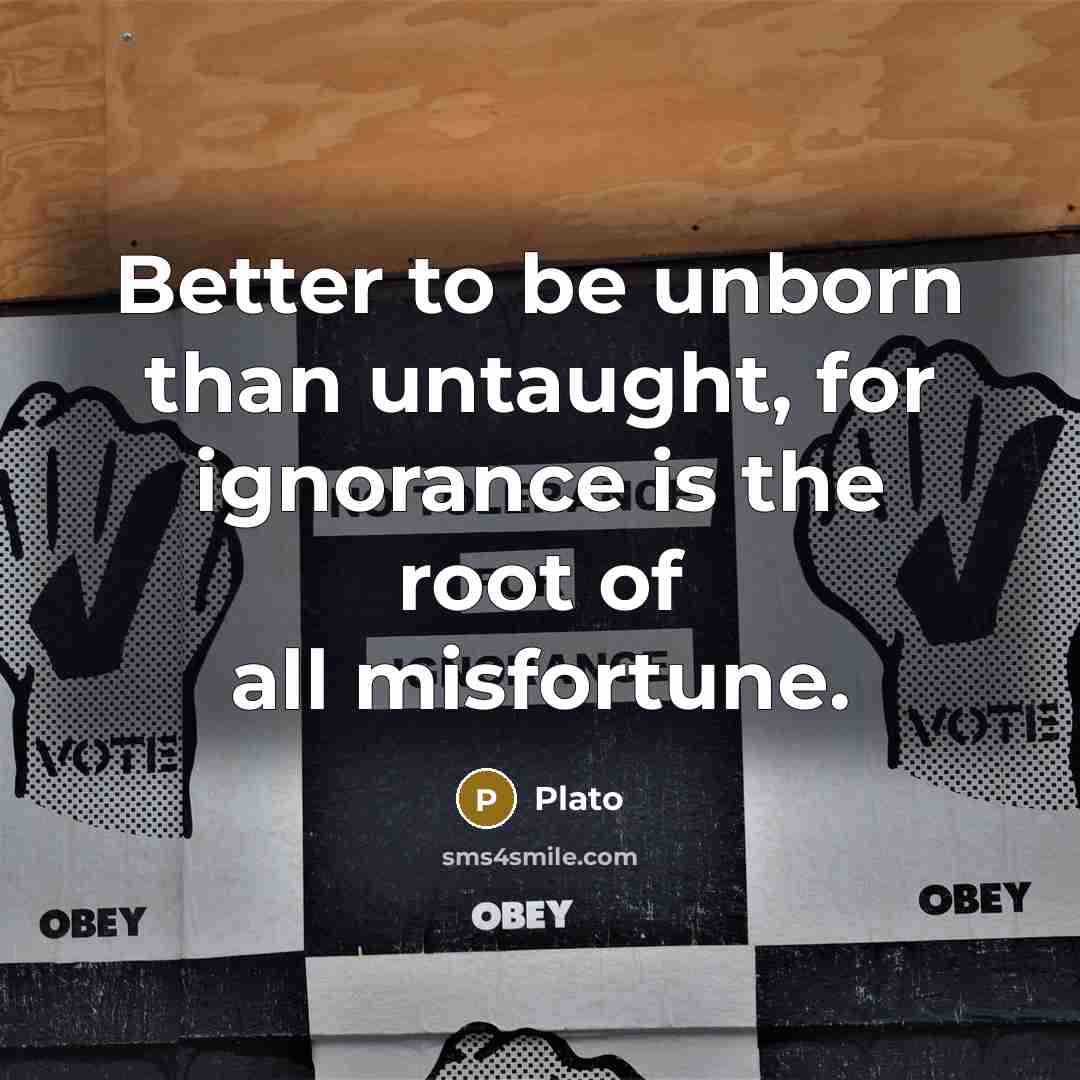 “Better to be unborn than untaught, for ignorance is the…” quote by Plato