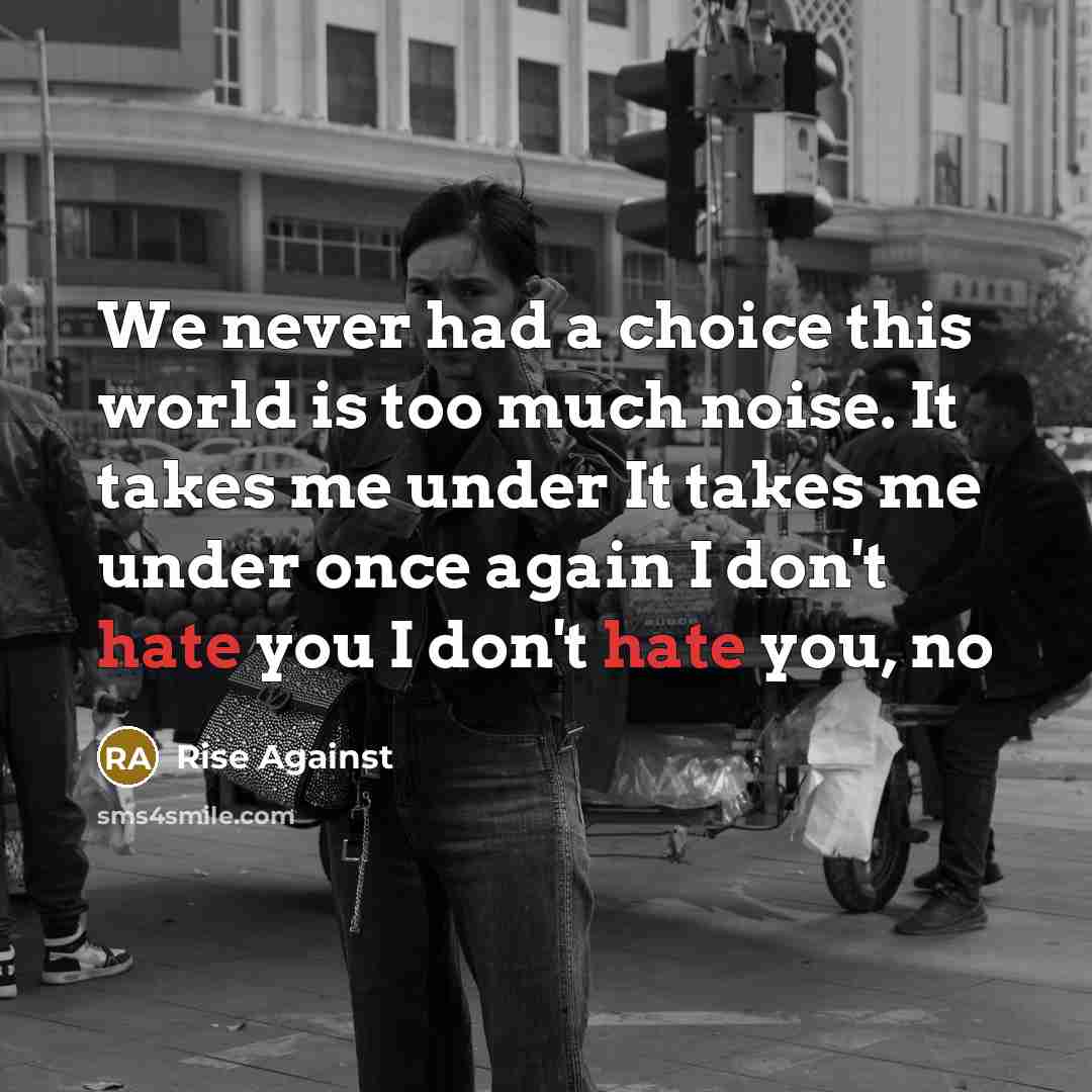 “We never had a choice this world is too much…” quote by Rise Against