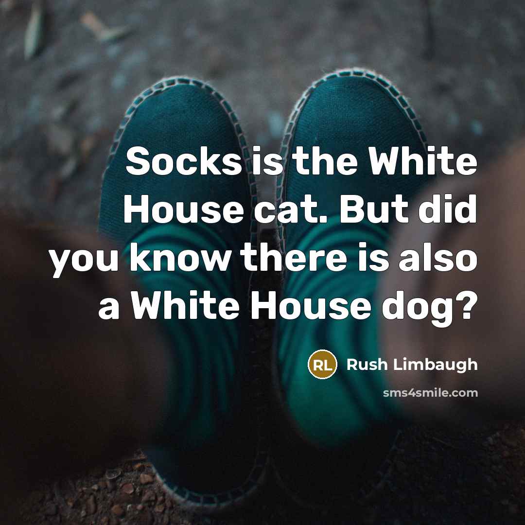 “Socks is the White House cat. But did you know…” quote by Rush Limbaugh