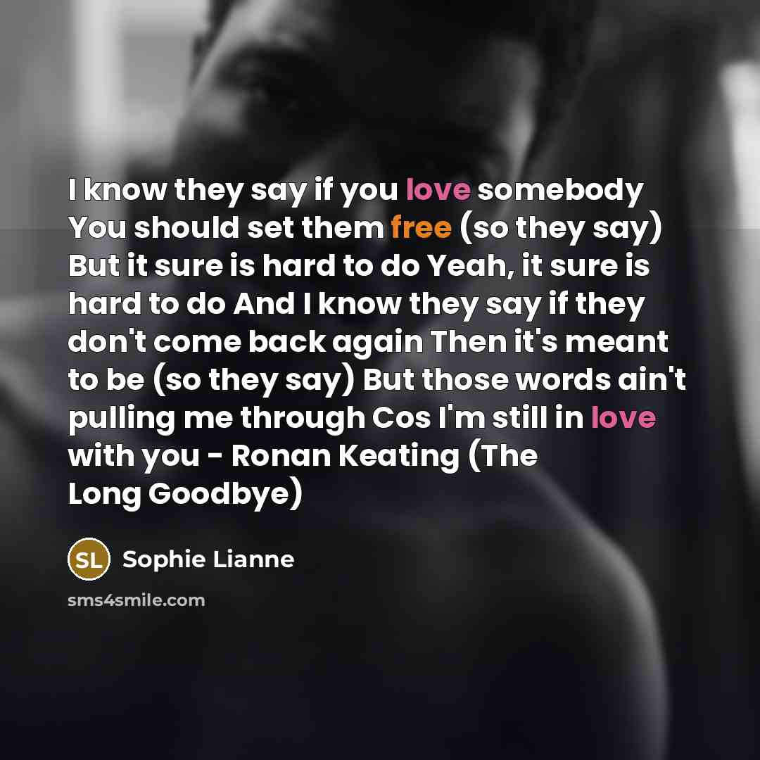 “I know they say if you love somebody You should…” quote by Sophie Lianne