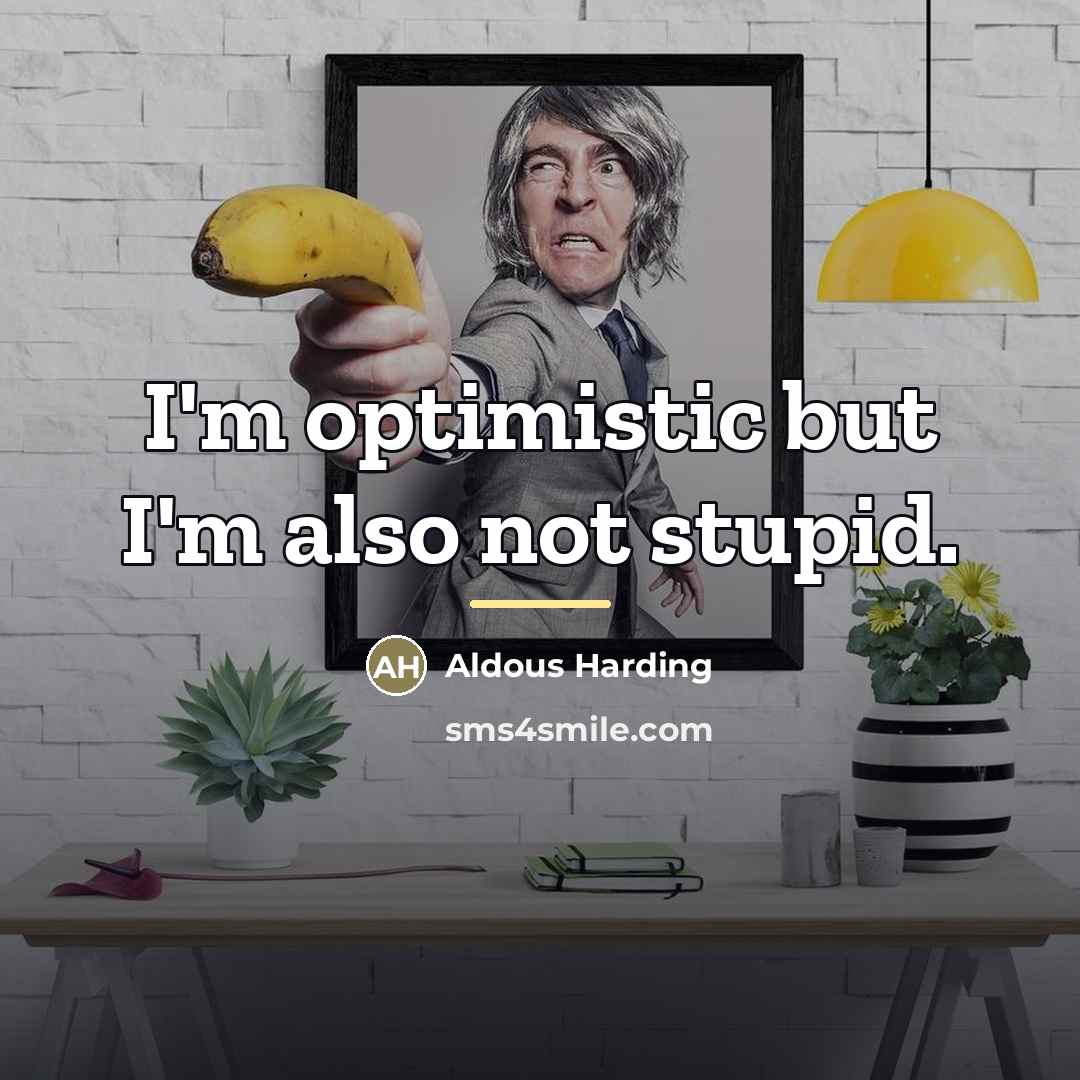“I'm optimistic but I'm also not stupid.…” quote by Aldous Harding