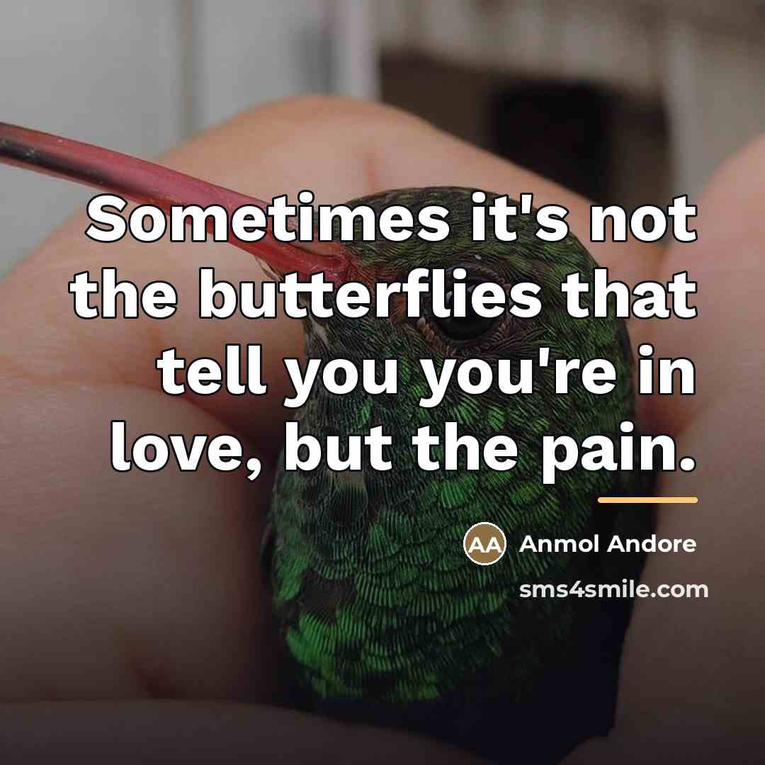 “Sometimes it's not the butterflies that tell you you're in…” quote by Anmol Andore