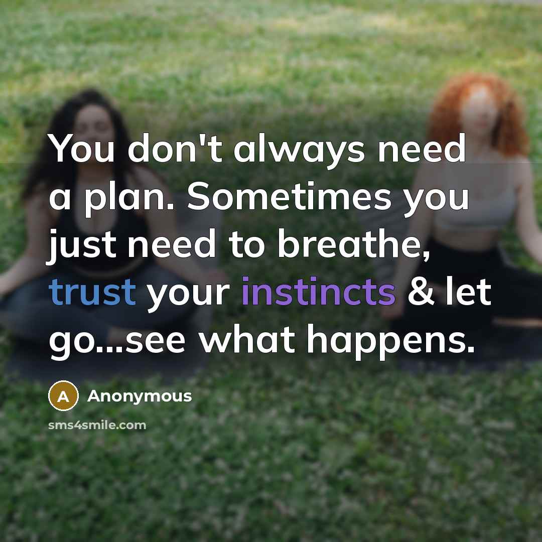 “You don't always need a plan. Sometimes you just need to breathe, trust your instincts & let go...see what happens.” quote by Anonymous