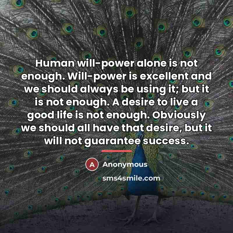 “Human will-power alone is not enough. Will-power is excellent and…” quote by Anonymous