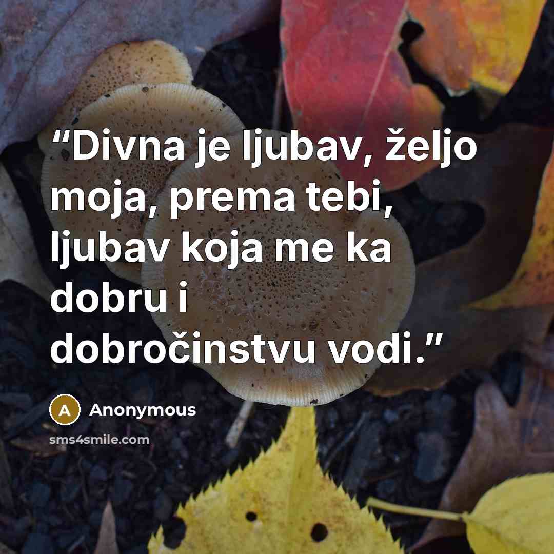“Divna je ljubav, željo moja, prema tebi, ljubav koja me ka dobru i dobročinstvu vodi.” quote by Anonymous