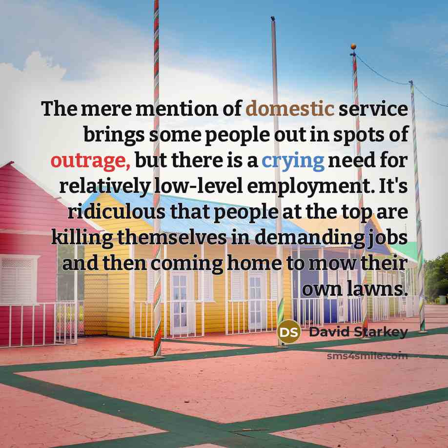 “The mere mention of domestic service brings some people out…” quote by David Starkey