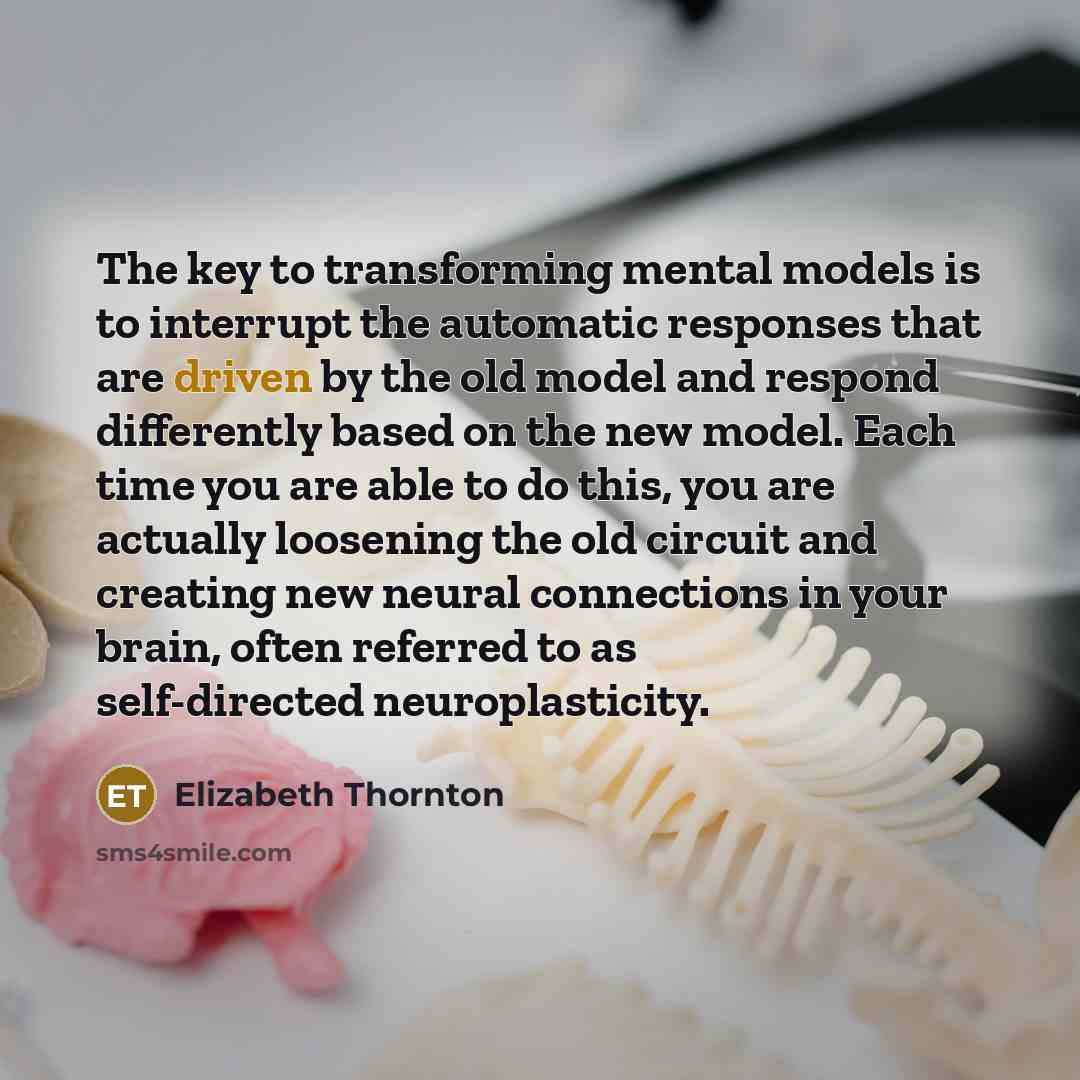 “The key to transforming mental models is to interrupt the…” quote by Elizabeth Thornton