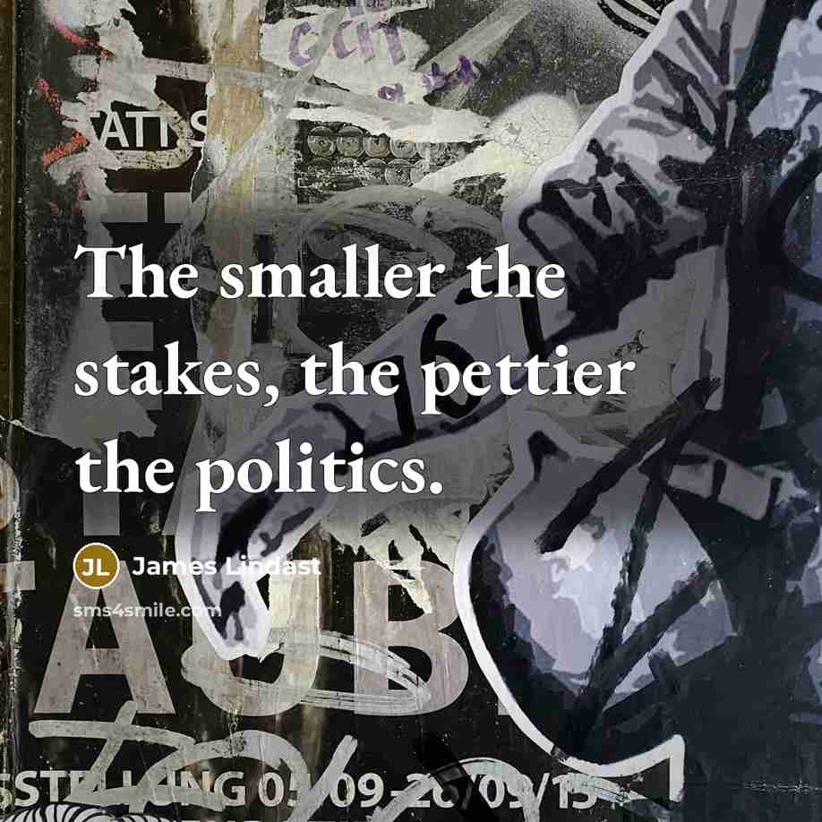 “The smaller the stakes, the pettier the politics.” quote by James Lindast