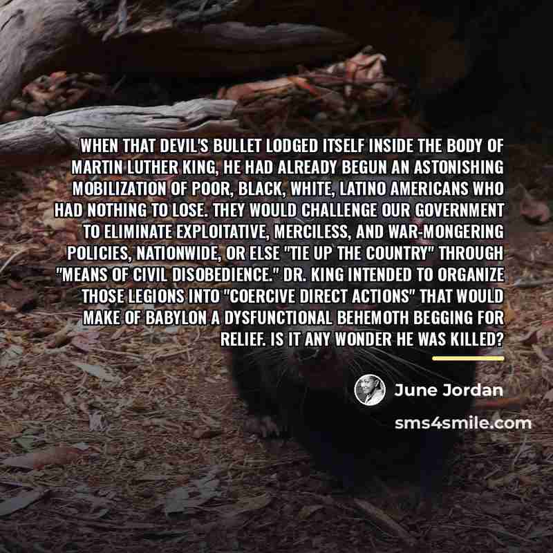 “When that devil's bullet lodged itself inside the body of…” quote by June Jordan