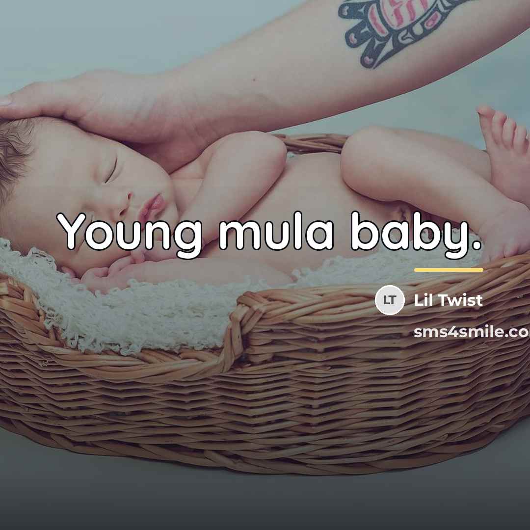 “Young mula baby.…” quote by Lil Twist