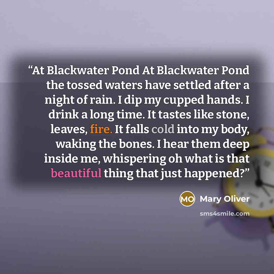 “At Blackwater Pond At Blackwater Pond the tossed waters have settled after a night of rain. I dip my cupped hands. I drink a long time. It tastes like stone, leaves, fire. It falls cold into my body, waking the bones. I hear them deep inside me, whispering oh what is that beautiful thing that just…” quote by Mary Oliver