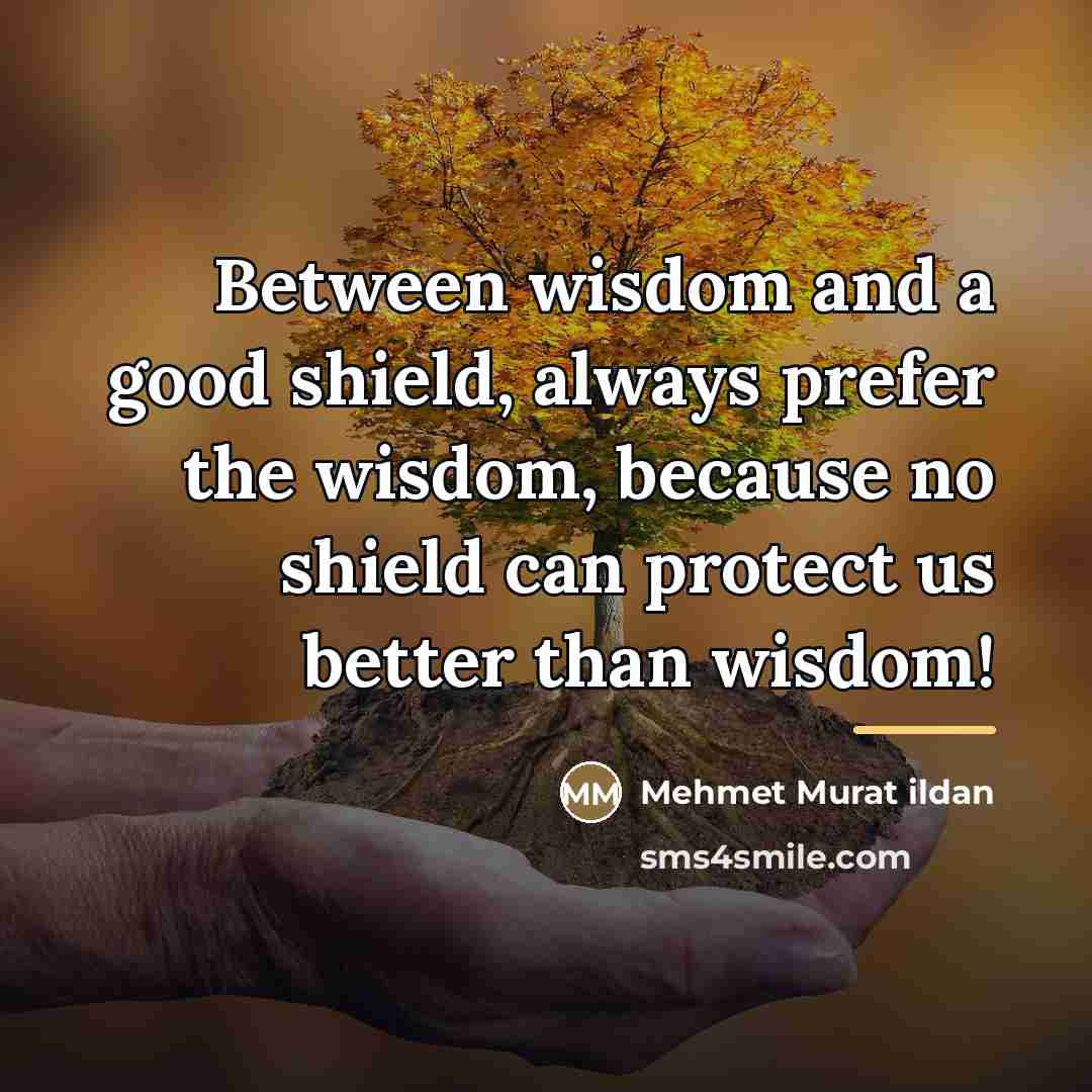 “Between wisdom and a good shield, always prefer the wisdom,…” quote by Mehmet Murat Ildan