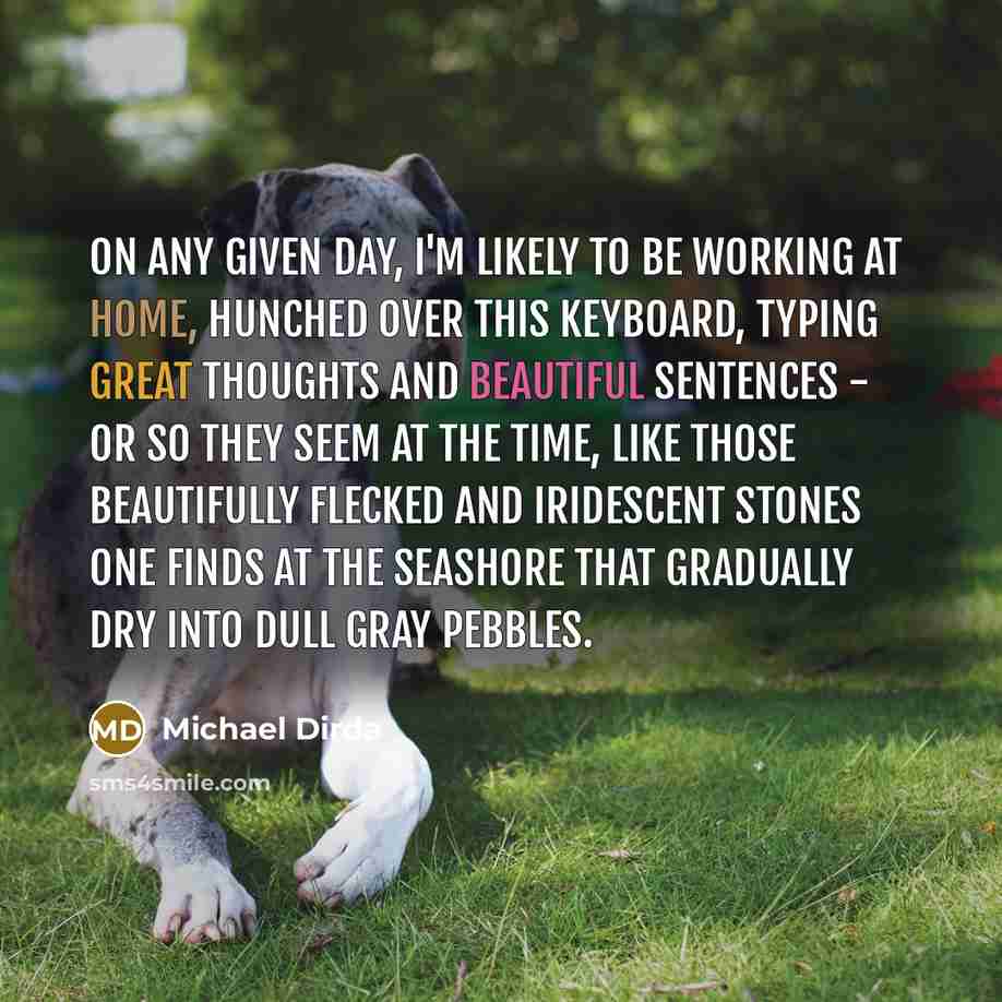 “On any given day, I'm likely to be working at…” quote by Michael Dirda
