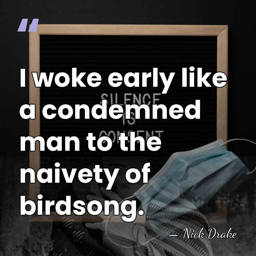 I woke early like a condemned man to the naivety of birdsong. - Nick Drake