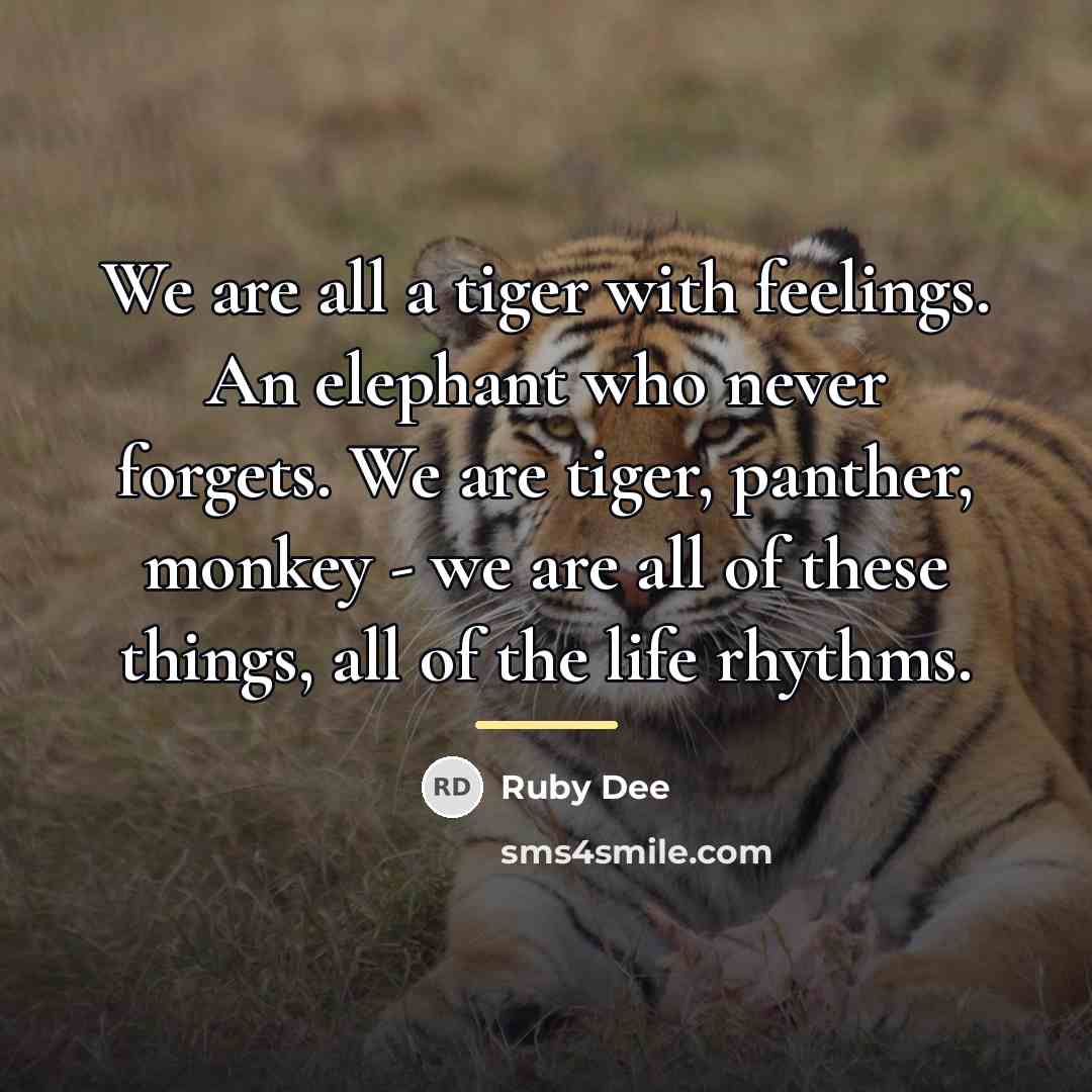 “We are all a tiger with feelings. An elephant who…” quote by Ruby Dee