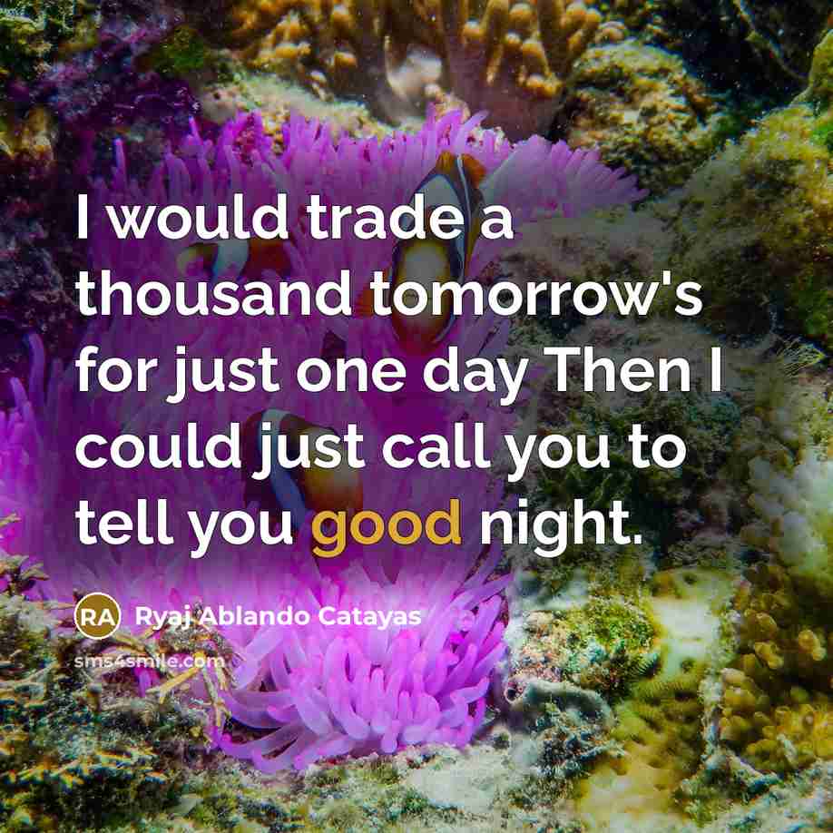 “I would trade a thousand tomorrow's for just one day…” quote by Ryaj Ablando Catayas