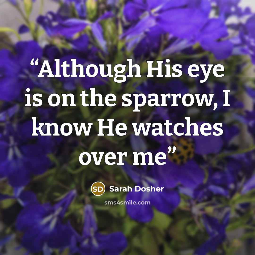 “Although His eye is on the sparrow, I know He watches over me” quote by Sarah Dosher