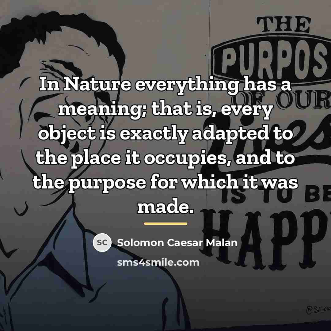 “In Nature everything has a meaning; that is, every object…” quote by Solomon Caesar Malan
