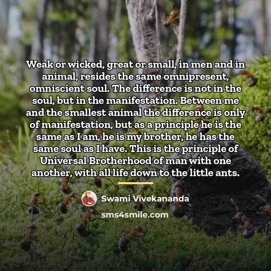 “Weak or wicked, great or small, in men and in…” quote by Swami Vivekananda