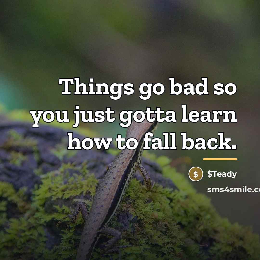 “Things go bad so you just gotta learn how to…” quote by $Teady