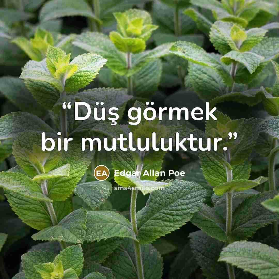 “Düş görmek bir mutluluktur.” quote by Edgar Allan Poe