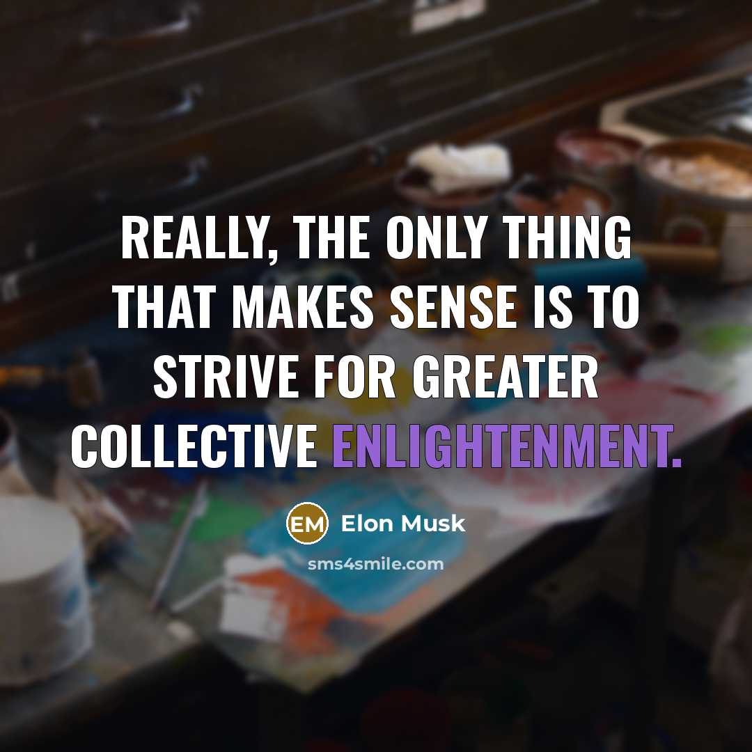 “Really, the only thing that makes sense is to strive…” quote by Elon Musk