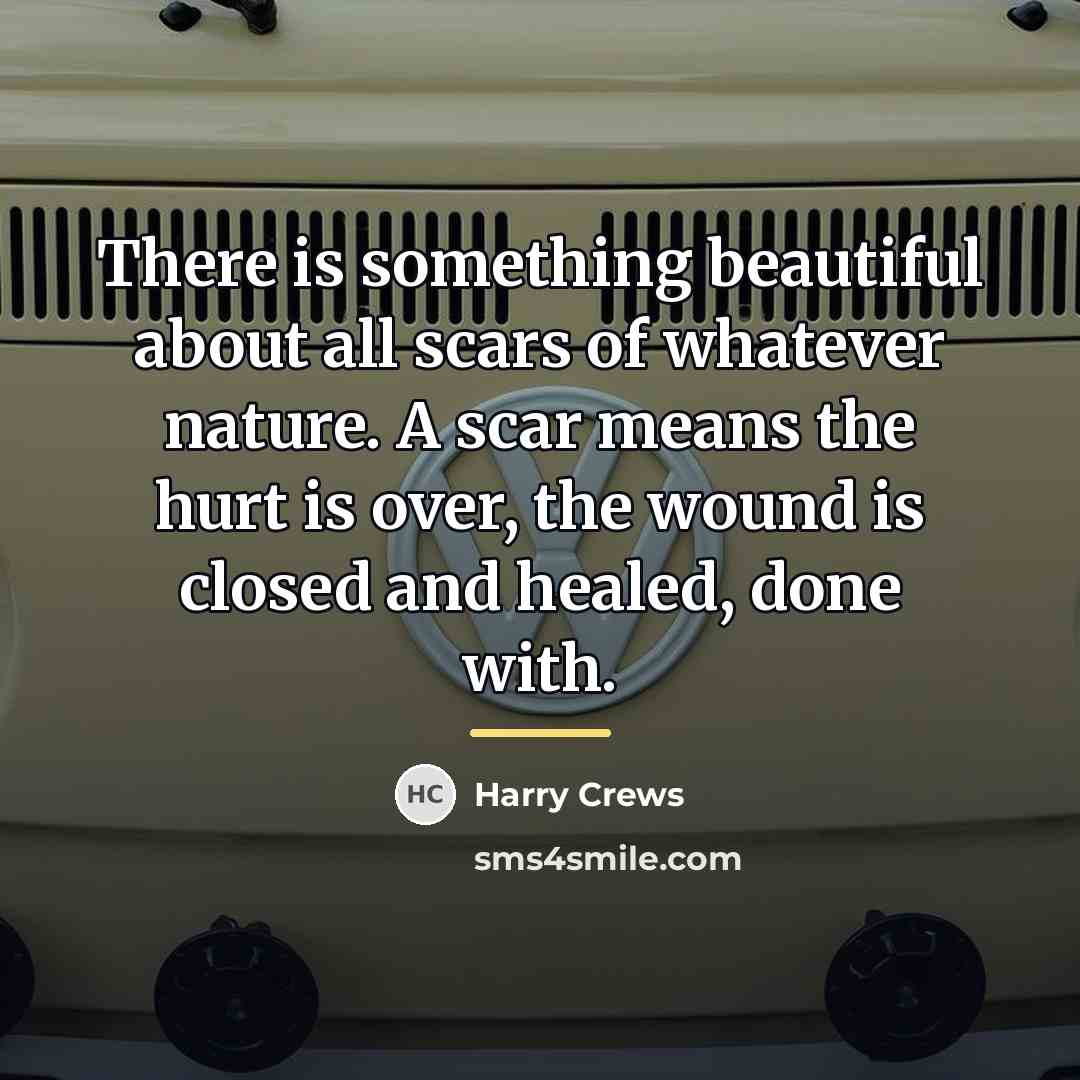 “There is something beautiful about all scars of whatever nature.…” quote by Harry Crews