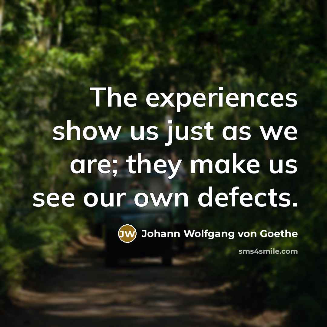 “The experiences show us just as we are; they make…” quote by Johann Wolfgang von Goethe