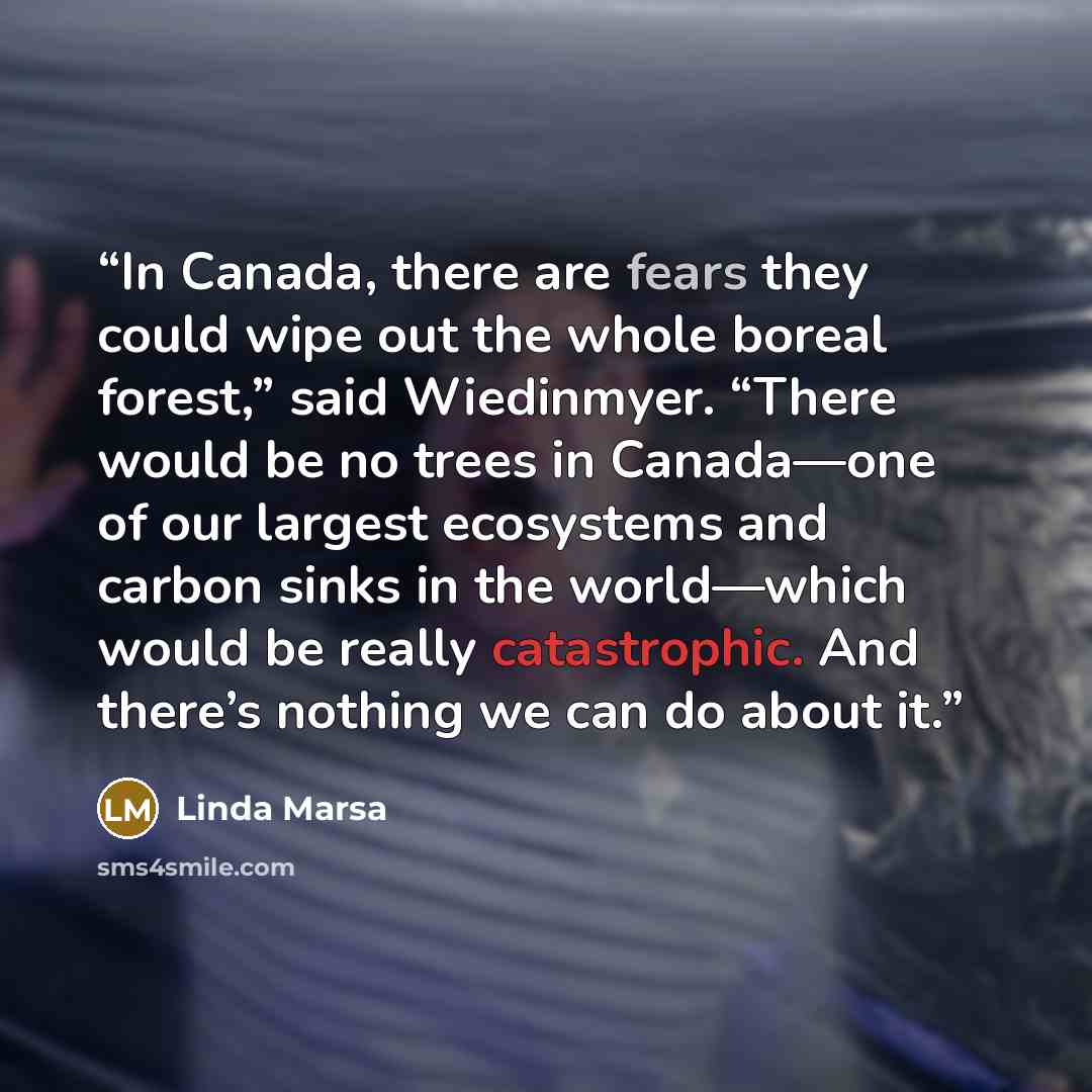 “In Canada, there are fears they could wipe out the whole boreal forest,” said Wiedinmyer. “There would be no trees in Canada—one of our largest ecosystems and carbon sinks in the world—which would be really catastrophic. And there’s nothing we can do about it.” quote by Linda Marsa