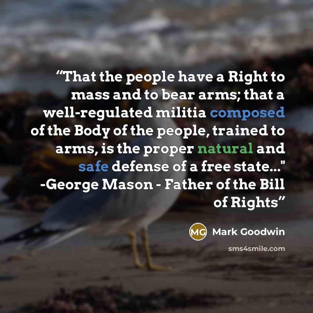 “That the people have a Right to mass and to bear arms; that a well-regulated militia composed of the Body of the people, trained to arms, is the proper natural and safe defense of a free state..." -George Mason - Father of the Bill of Rights” quote by Mark Goodwin