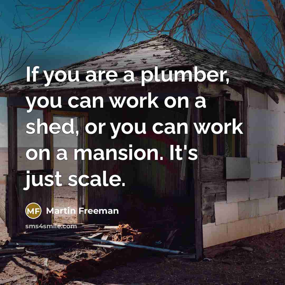 “If you are a plumber, you can work on a…” quote by Martin Freeman