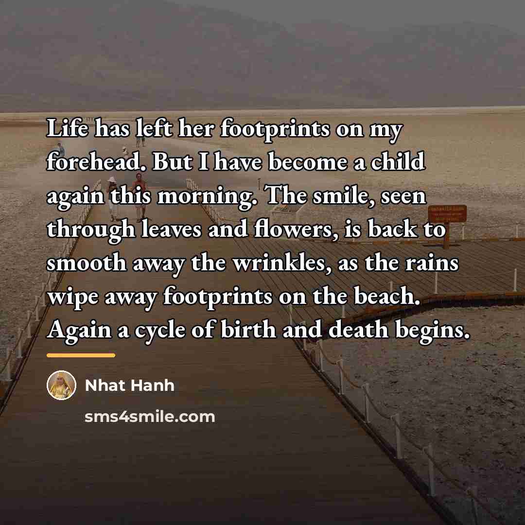 “Life has left her footprints on my forehead. But I…” quote by Nhat Hanh