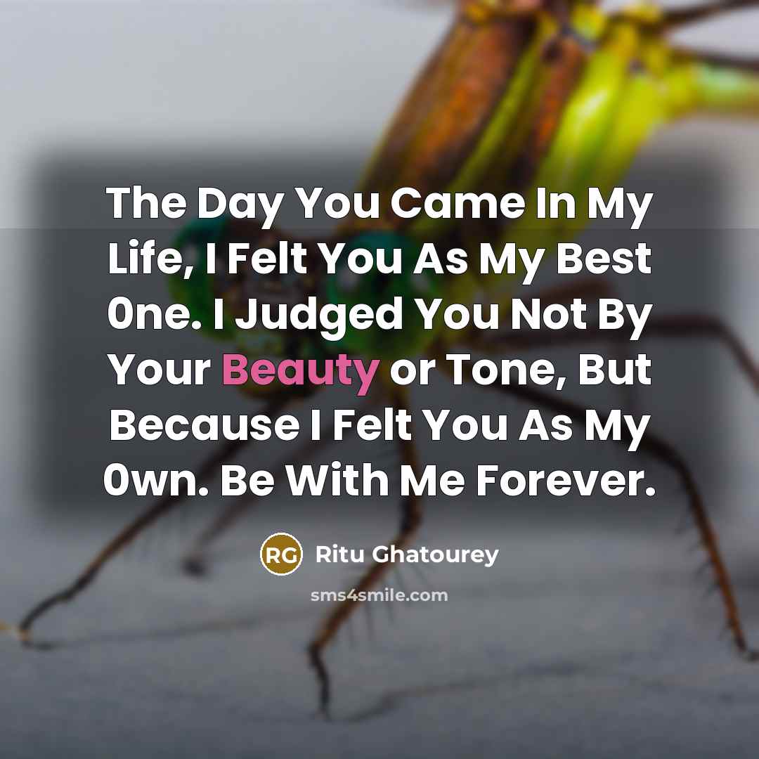 “The Day You Came In My Life, I Felt You…” quote by Ritu Ghatourey