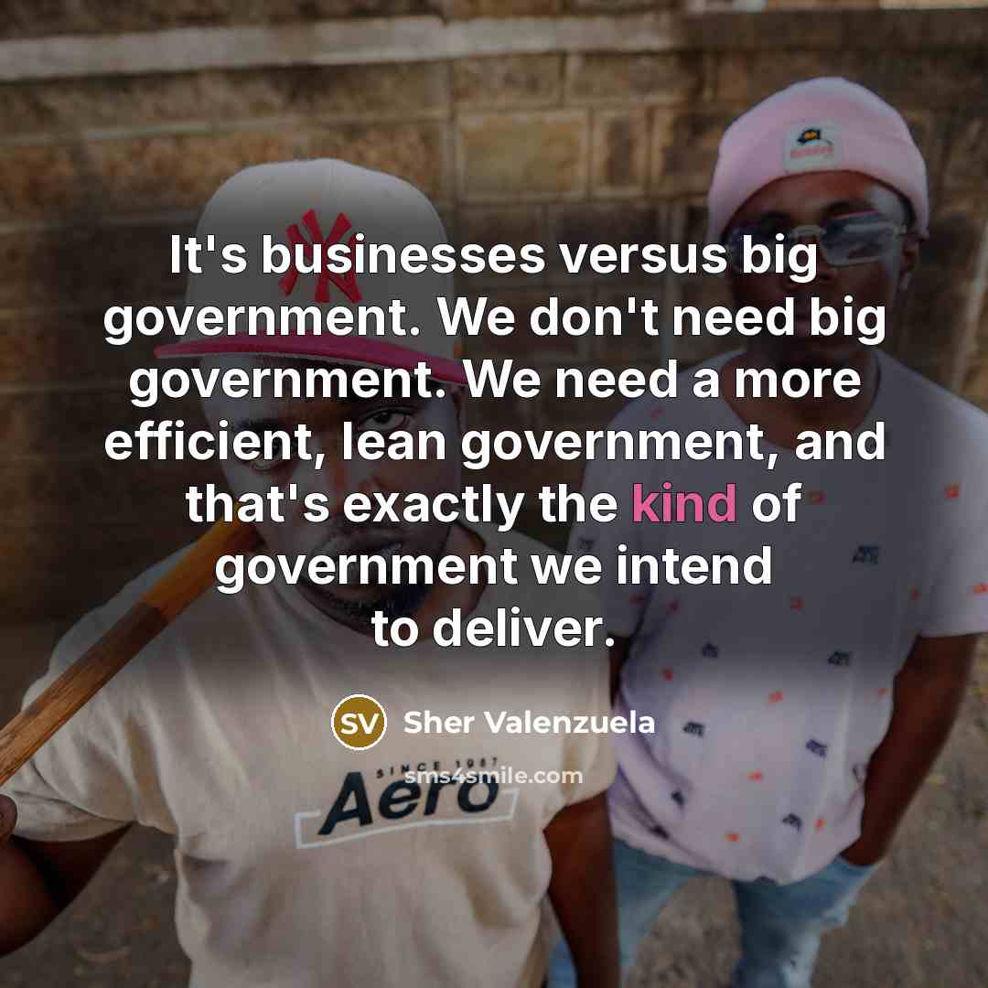 “It's businesses versus big government. We don't need big government.…” quote by Sher Valenzuela