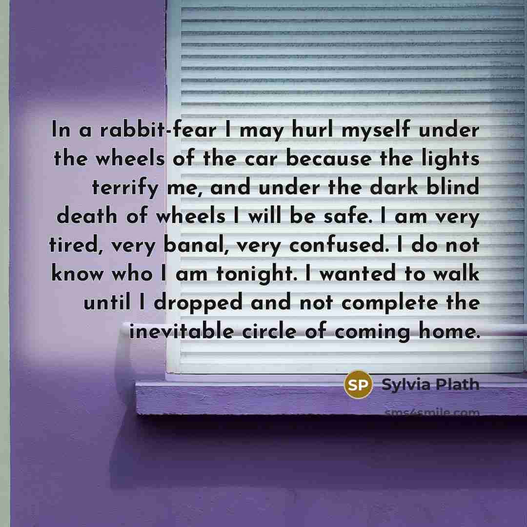 “In a rabbit-fear I may hurl myself under the wheels…” quote by Sylvia Plath