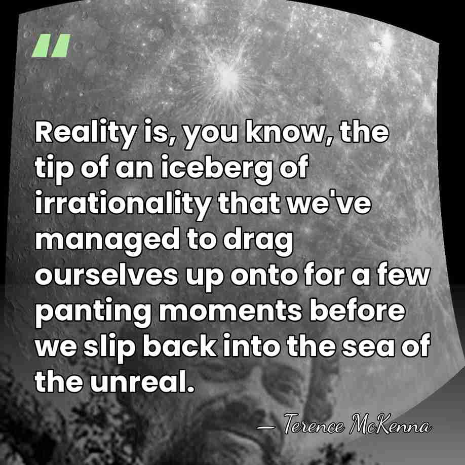 Reality is, you know, the tip of an iceberg of irrationality that&hellip; - Terence McKenna