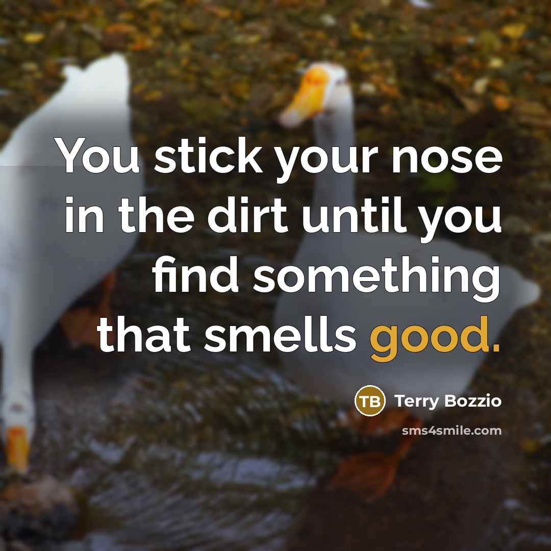 “You stick your nose in the dirt until you find…” quote by Terry Bozzio