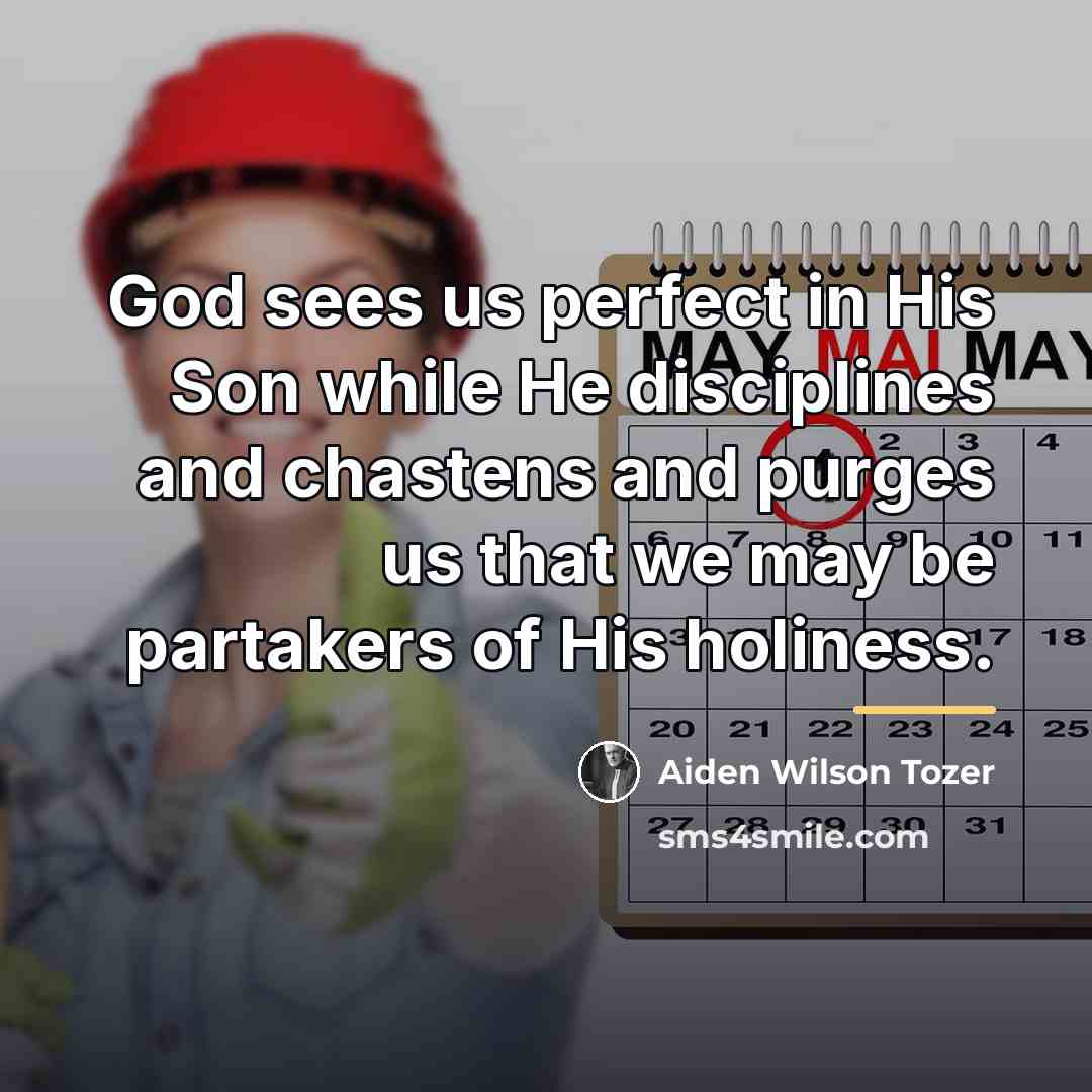 “God sees us perfect in His Son while He disciplines…” quote by Aiden Wilson Tozer