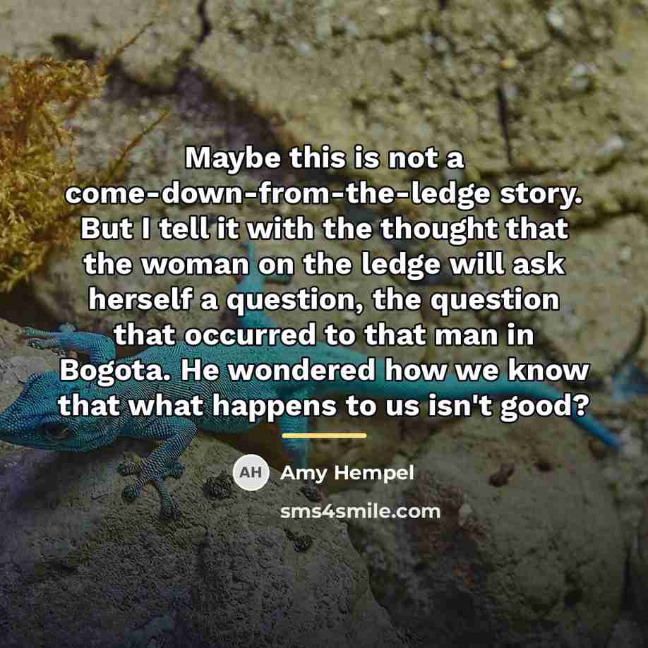 “Maybe this is not a come-down-from-the-ledge story. But I tell…” quote by Amy Hempel