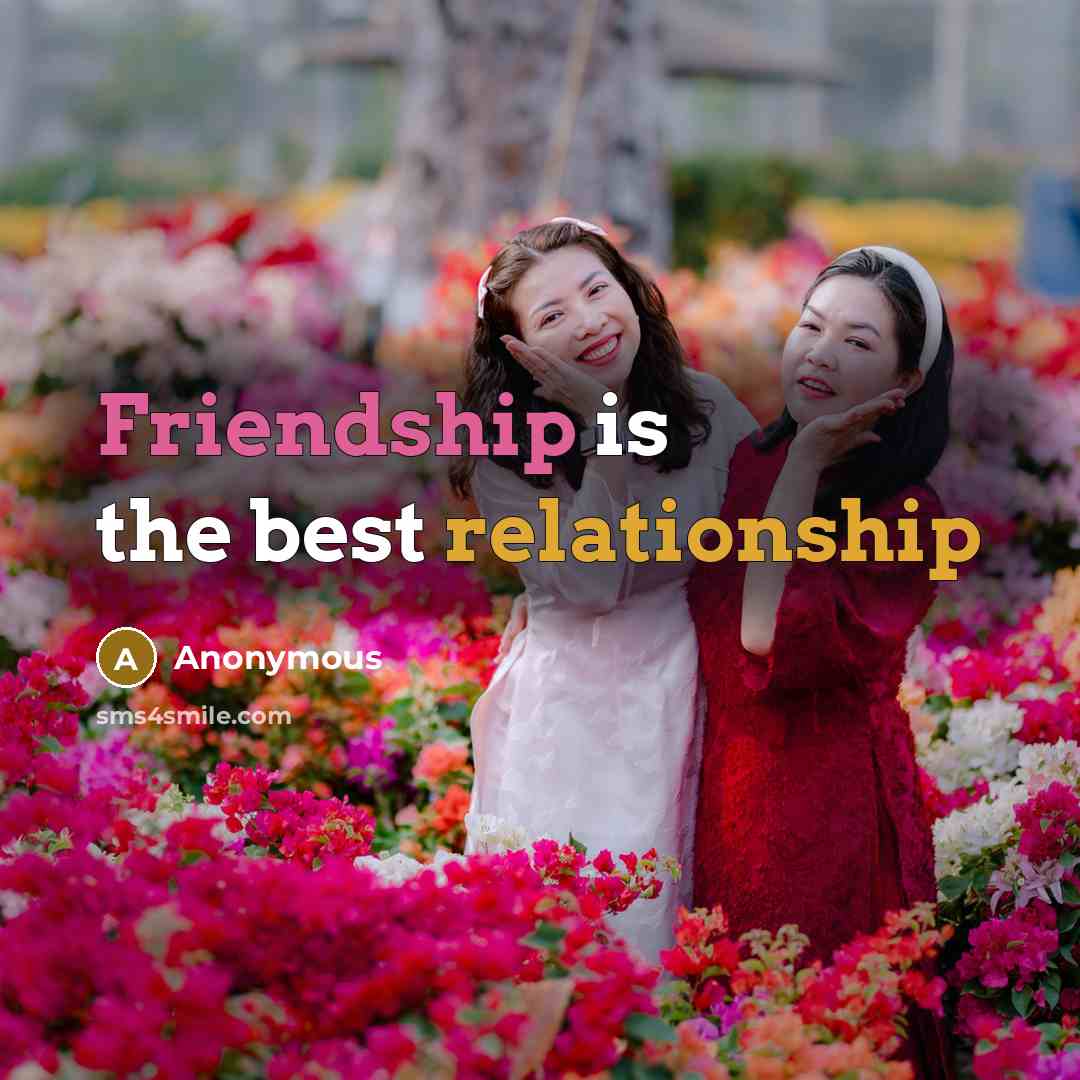 “Friendship is the best relationship” quote by Anonymous