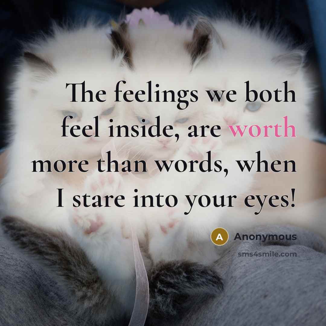 “The feelings we both feel inside, are worth more than…” quote by Anonymous