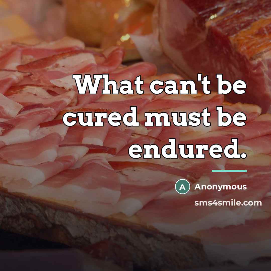 “What can't be cured must be endured.…” quote by Anonymous