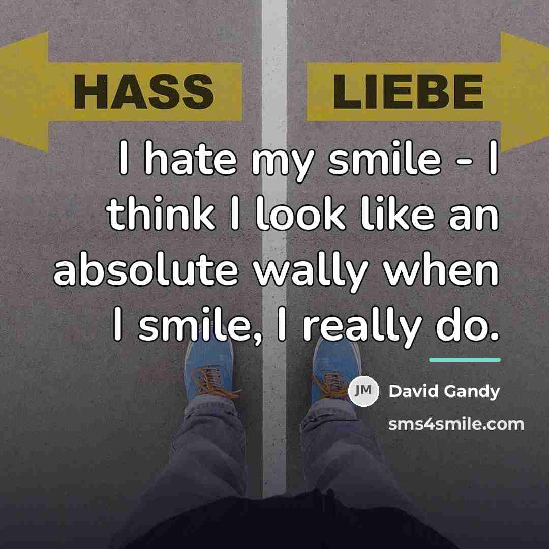 “I hate my smile - I think I look like…” quote by David Gandy