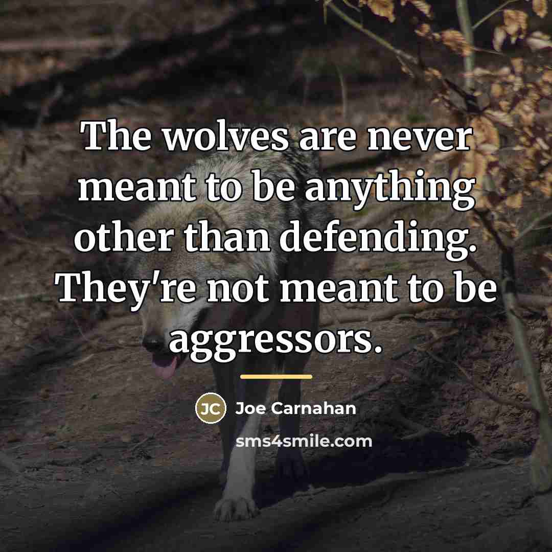 “The wolves are never meant to be anything other than…” quote by Joe Carnahan