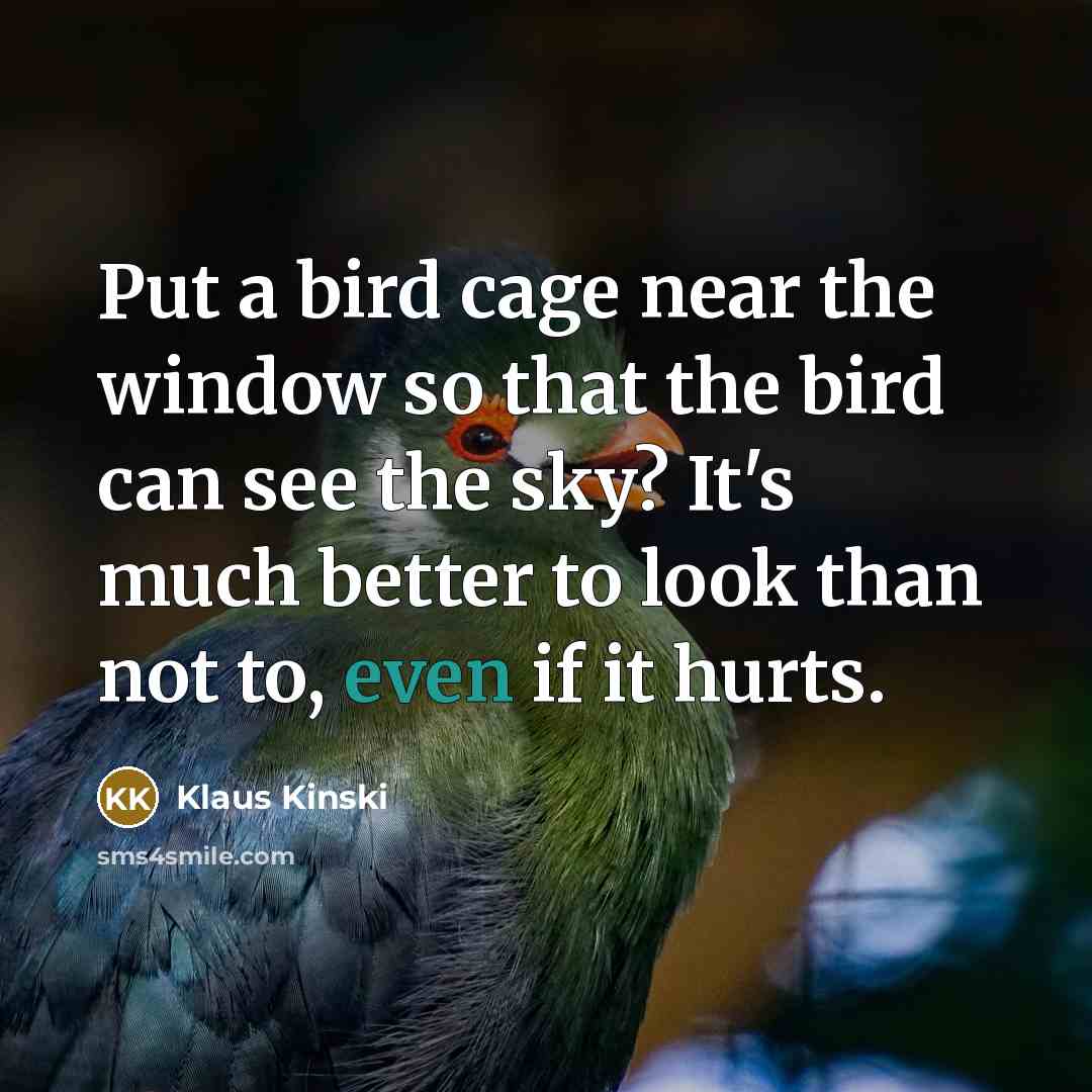 “Put a bird cage near the window so that the…” quote by Klaus Kinski